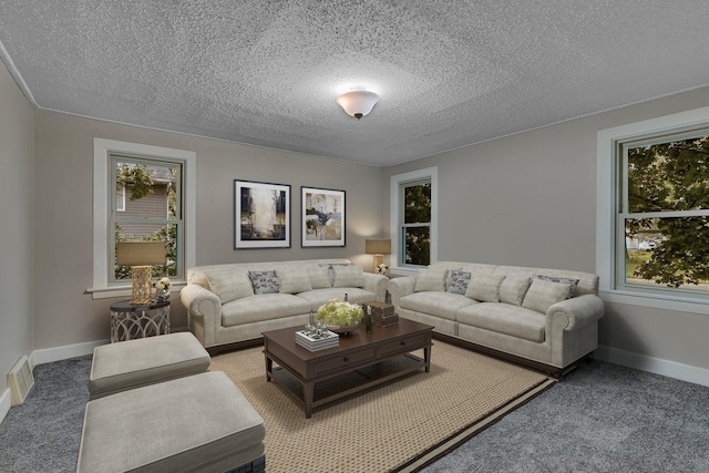 608 Summit Ave S, Sauk Rapids, MN 56379 - living room with a textured ceiling and carpet floors