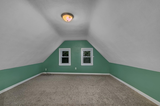 608 Summit Ave S, Sauk Rapids, MN 56379 - additional living space with vaulted ceiling and carpet floors