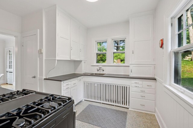 6 Elmwood Pl E, Minneapolis, MN 55419 - photo 17