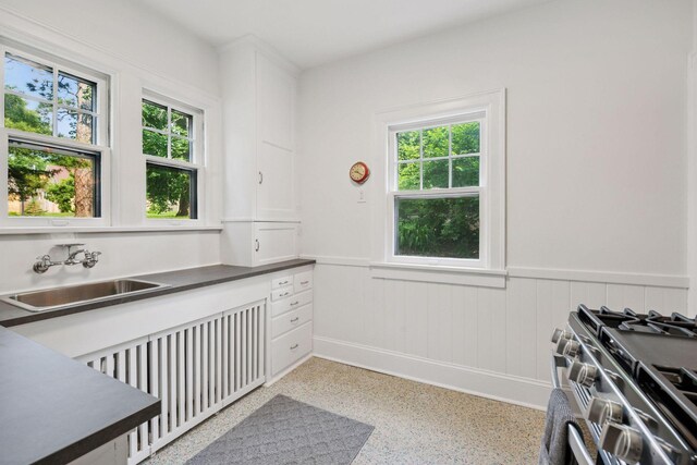6 Elmwood Pl E, Minneapolis, MN 55419 - photo 19