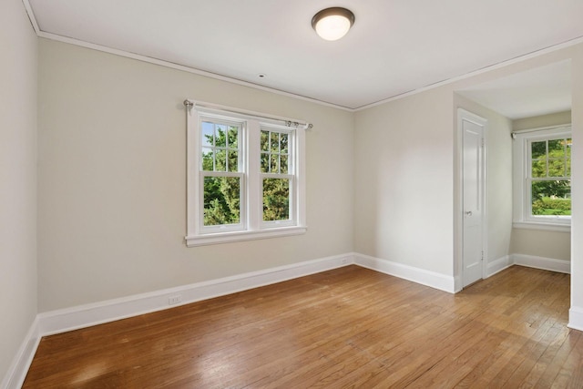 6 Elmwood Pl E, Minneapolis, MN 55419 - photo 26
