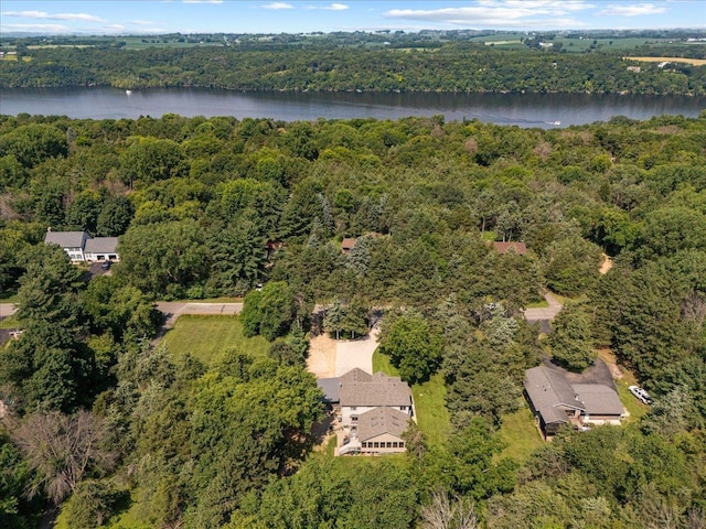 N6386 1317th St, Clifton Twp, WI 54021 - view of property location featuring a heavily wooded area and a large body of water