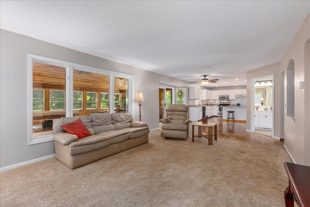 N6386 1317th St, Clifton Twp, WI 54021 - photo 6