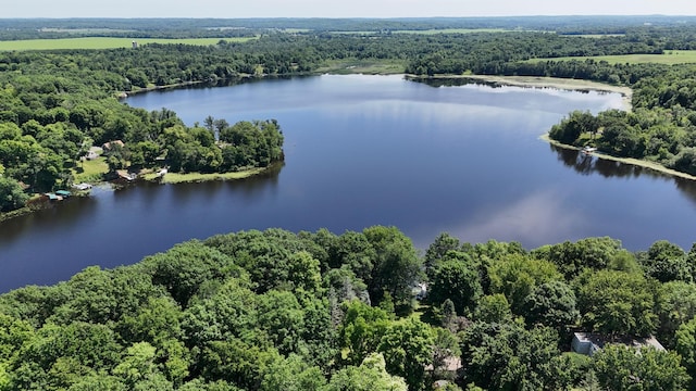 2890 216th St, Laketown Twp, WI 54853 - drone / aerial view of a forest and a nearby body of water
