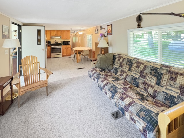 2890 216th St, Laketown Twp, WI 54853 - living area featuring crown molding, light colored carpet, and light tile patterned floors