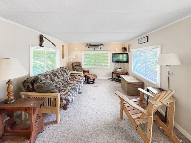 2890 216th St, Laketown Twp, WI 54853 - carpeted living area with crown molding and baseboards