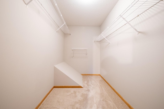 4316 Meghan Ln Unit 402, Eagan, MN 55122 - walk in closet with carpet