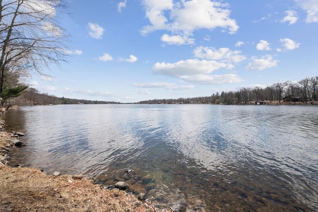 2029 Richardson Ct, Georgetown Twp, WI 54853 - water view