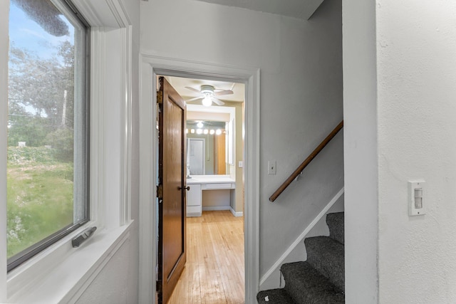 1721 Humboldt Ave S, Minneapolis, MN 55403 - photo 39