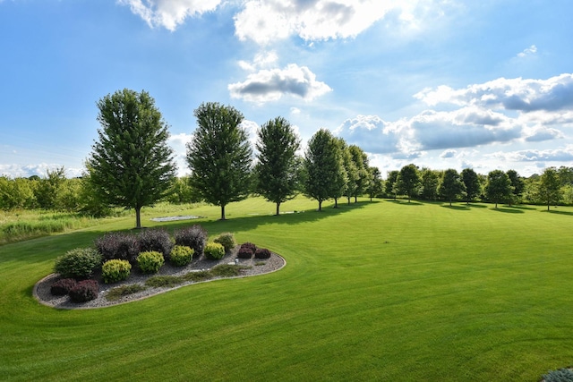 12035 Trail Haven Ln, Rogers, MN 55374 - photo 24