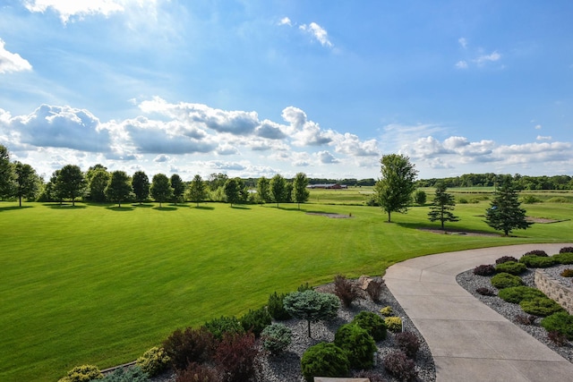12035 Trail Haven Ln, Rogers, MN 55374 - photo 25