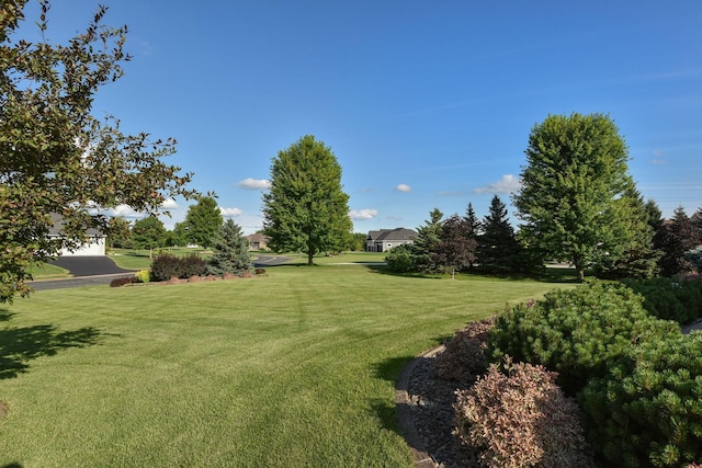 12035 Trail Haven Ln, Rogers, MN 55374 - photo 63