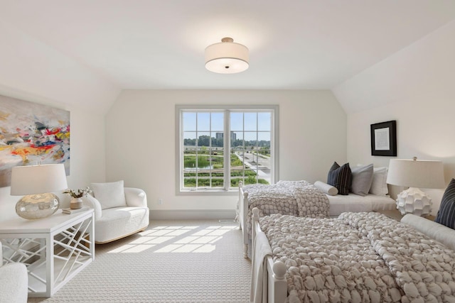 956 Mississippi River Blvd S, Saint Paul, MN 55116 - bedroom with vaulted ceiling and carpet flooring