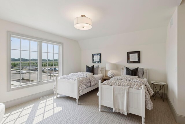 956 Mississippi River Blvd S, Saint Paul, MN 55116 - bedroom with light carpet and baseboards