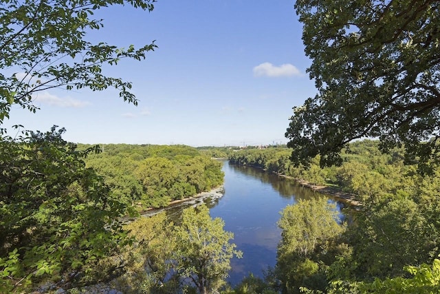 956 Mississippi River Blvd S, Saint Paul, MN 55116 - water view