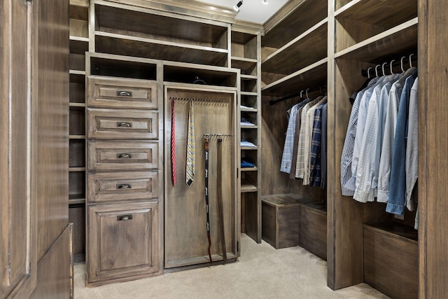 2807 Mckenzie Point Rd, Minnetonka, MN 55391 - walk in closet with light colored carpet