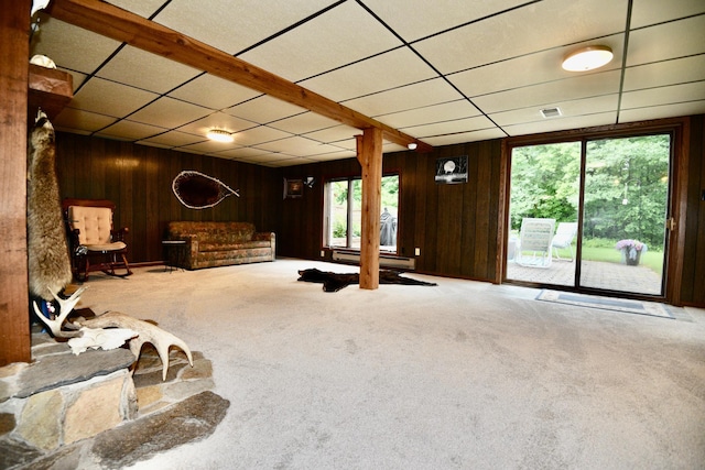 22761 105th Ave, Milaca, MN 56353 - unfurnished living room with plenty of natural light, wood walls, carpet flooring, and a drop ceiling