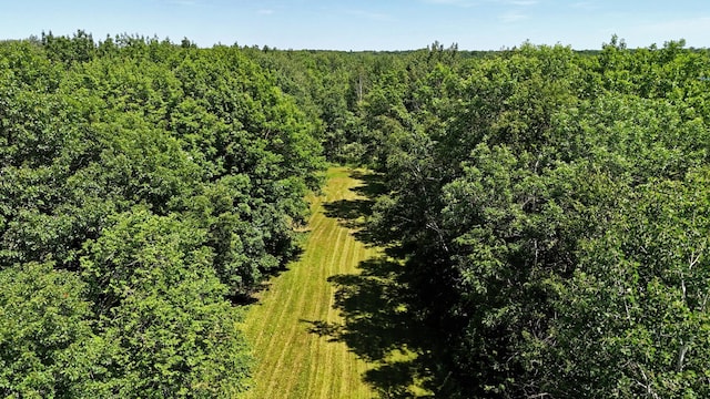 22761 105th Ave, Milaca, MN 56353 - aerial view