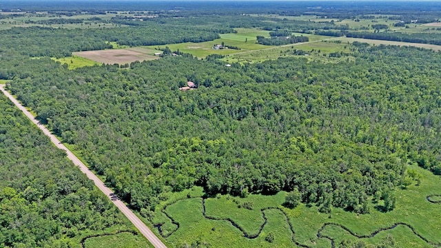 22761 105th Ave, Milaca, MN 56353 - view of property location featuring a forest