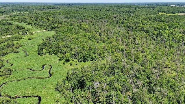 22761 105th Ave, Milaca, MN 56353 - view of property location with a heavily wooded area
