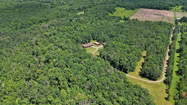 22761 105th Ave, Milaca, MN 56353 - aerial view of property and surrounding area with a forest