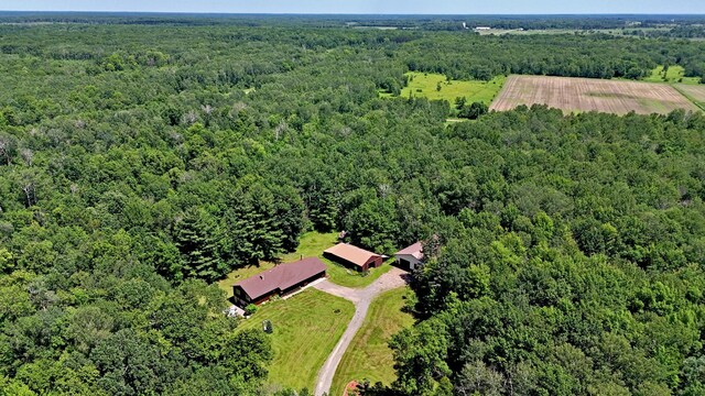22761 105th Ave, Milaca, MN 56353 - bird's eye view of a heavily wooded area