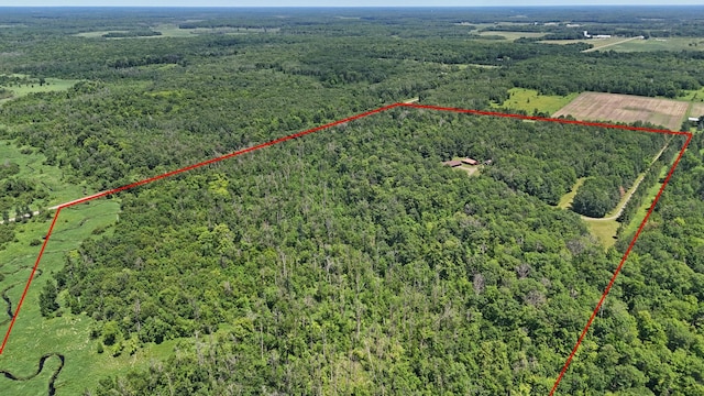 22761 105th Ave, Milaca, MN 56353 - aerial overview of property's location featuring property parcel outlined