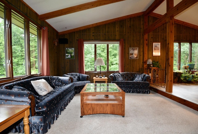 22761 105th Ave, Milaca, MN 56353 - carpeted living room featuring wood walls
