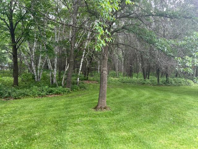 13301 Oak Ridge Rd, Zimmerman, MN 55398 - view of grassy yard with a forest view