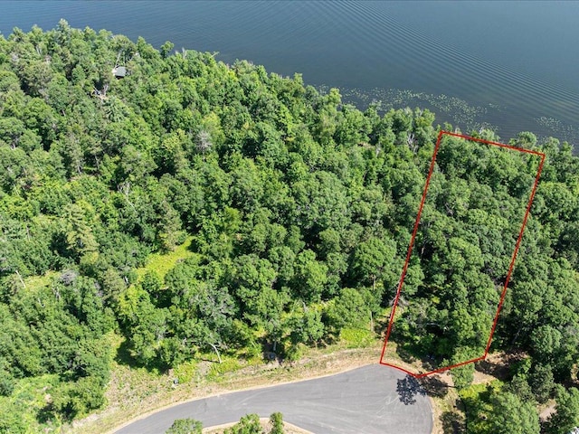 24601 Perrin Pt, Nisswa, MN 56468 - photo 1