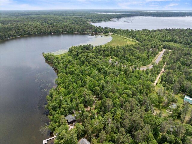 24601 Perrin Pt, Nisswa, MN 56468 - photo 4
