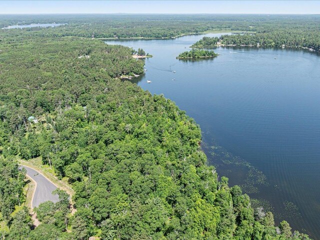 24601 Perrin Pt, Nisswa, MN 56468 - photo 6