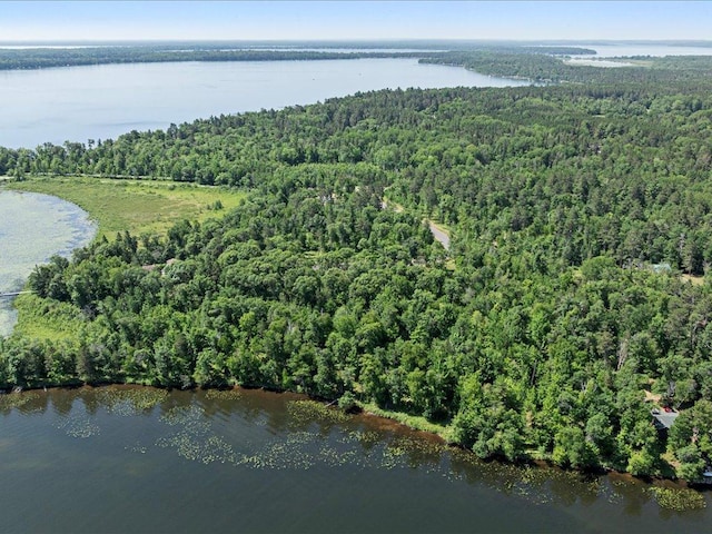 24601 Perrin Pt, Nisswa, MN 56468 - photo 7