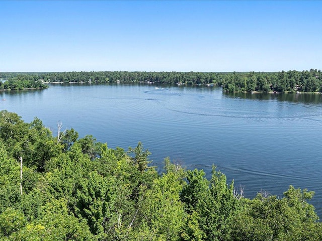 24601 Perrin Pt, Nisswa, MN 56468 - photo 8