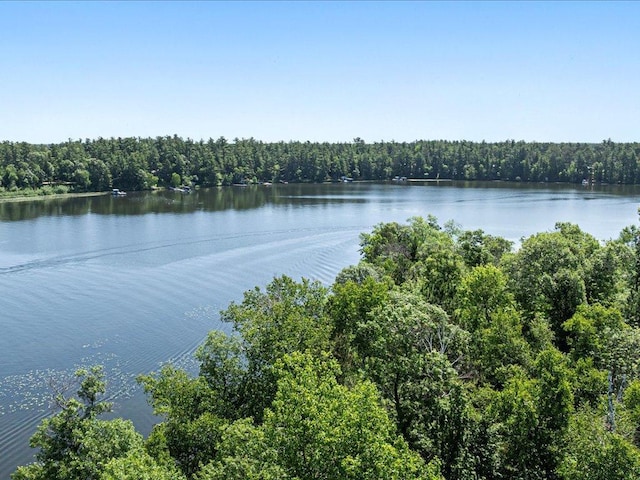 24601 Perrin Pt, Nisswa, MN 56468 - photo 9