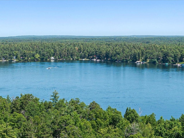 24601 Perrin Pt, Nisswa, MN 56468 - photo 10