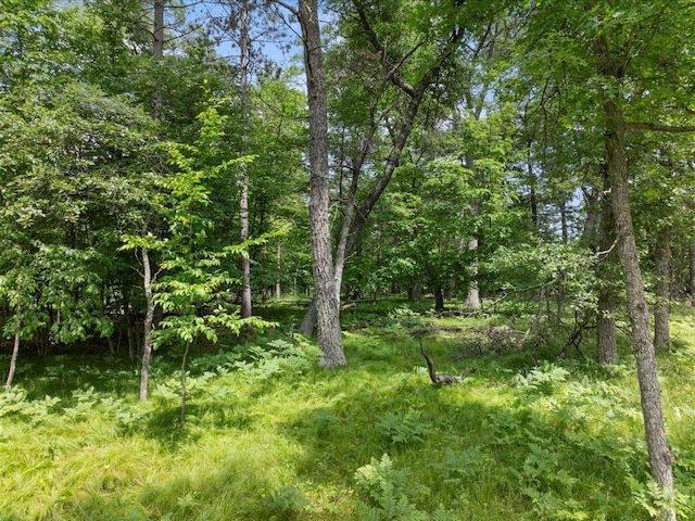 24601 Perrin Pt, Nisswa, MN 56468 - photo 12