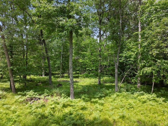 24601 Perrin Pt, Nisswa, MN 56468 - photo 13