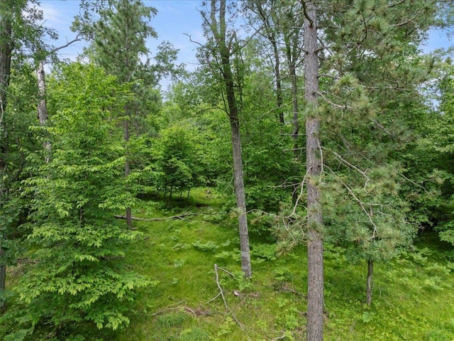 24601 Perrin Pt, Nisswa, MN 56468 - photo 14