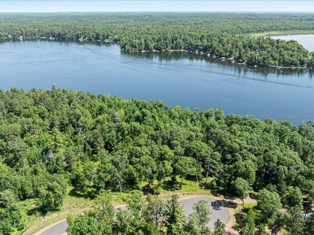 24601 Perrin Pt, Nisswa, MN 56468 - photo 15