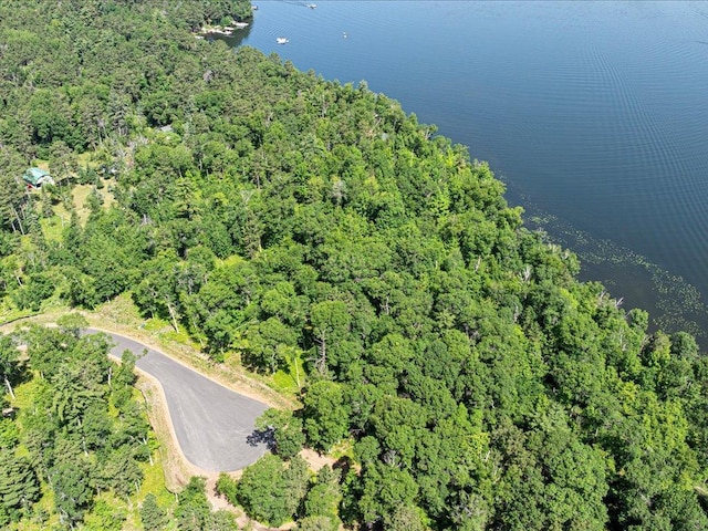 24601 Perrin Pt, Nisswa, MN 56468 - photo 16