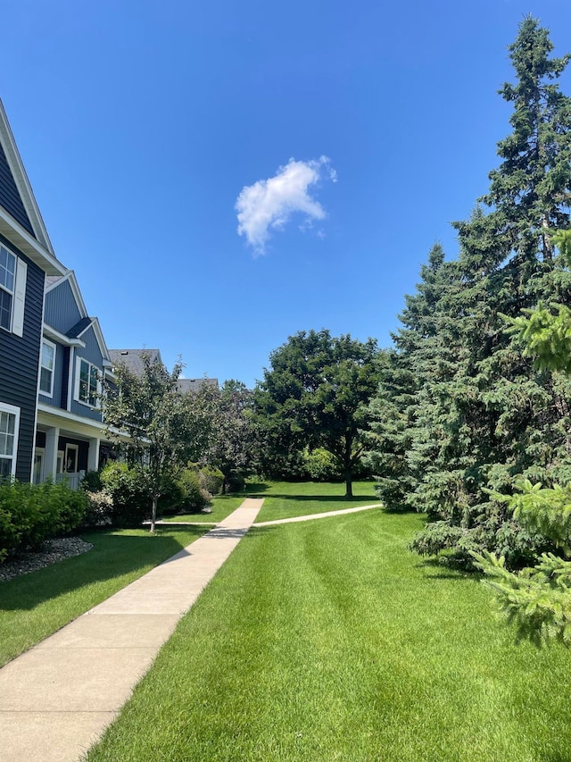 14375 Banyan Ln, Rosemount, MN 55068 - view of green lawn