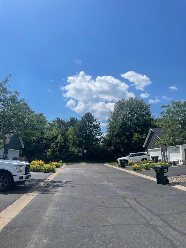 14375 Banyan Ln, Rosemount, MN 55068 - view of asphalt road
