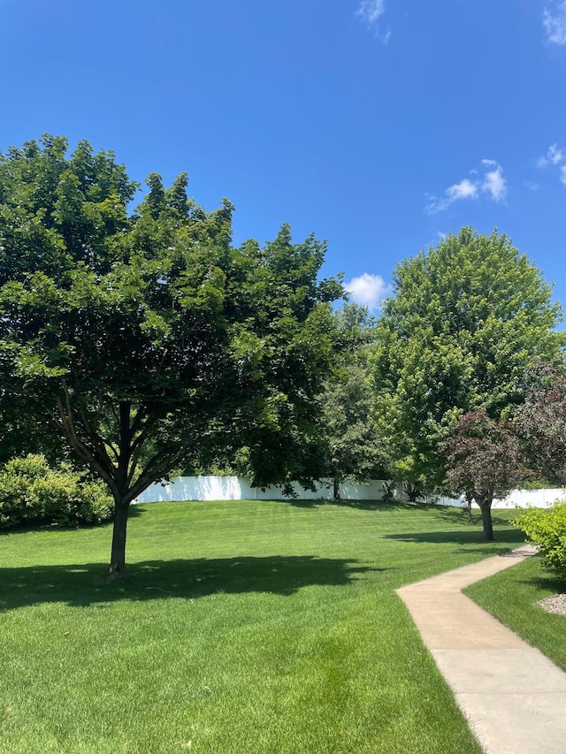 14375 Banyan Ln, Rosemount, MN 55068 - view of green lawn with a water view