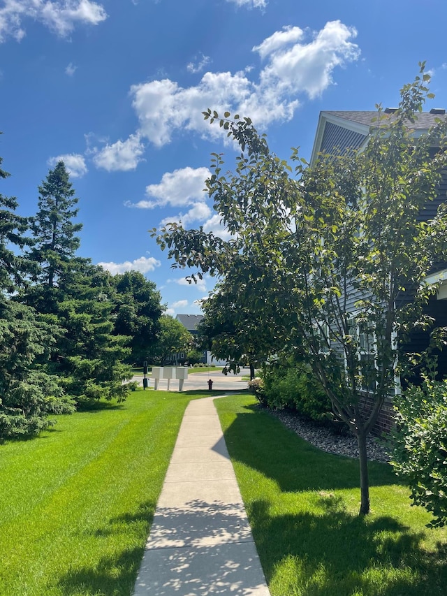 14375 Banyan Ln, Rosemount, MN 55068 - view of community with a lawn
