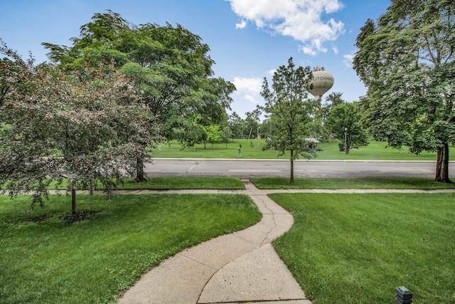 310 4th Ave SW, Hutchinson, MN 55350 - view of grassy yard