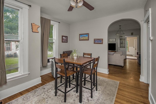 310 4th Ave SW, Hutchinson, MN 55350 - dining room featuring arched walkways, a ceiling fan, and healthy amount of natural light