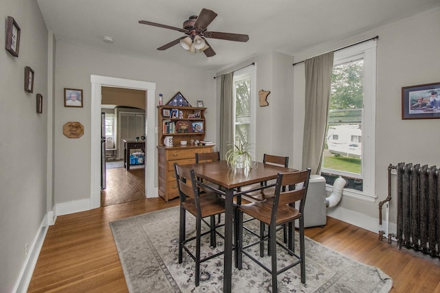 310 4th Ave SW, Hutchinson, MN 55350 - dining area featuring radiator, light wood-type flooring, a ceiling fan, and arched walkways