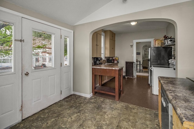310 4th Ave SW, Hutchinson, MN 55350 - foyer with plenty of natural light, vaulted ceiling, arched walkways, radiator, and dark floors