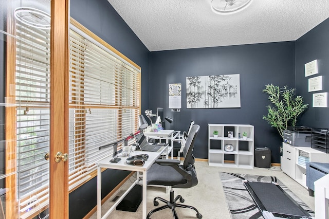 10013 Georgia Ave N, Brooklyn Park, MN 55445 - photo 4